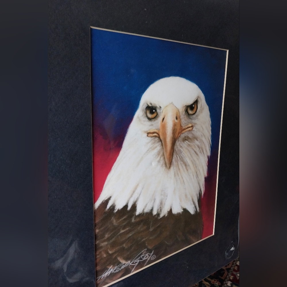 Bald Eagle print - Picture 4 of 15